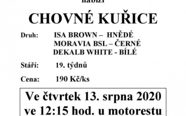 Prodej drůbeže