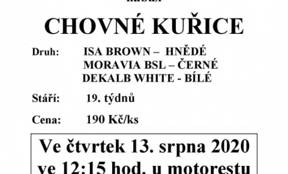 Prodej drůbeže