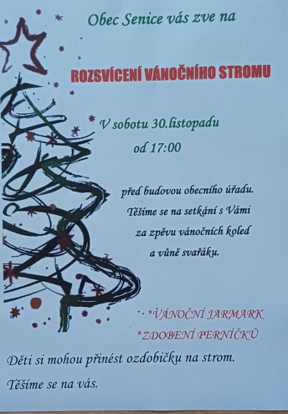 Rozsvícení vánočního stromu