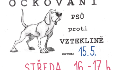 Očkování psů proti vzteklině
