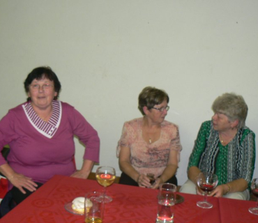 Senioři 2010