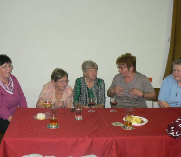 Senioři 2010
