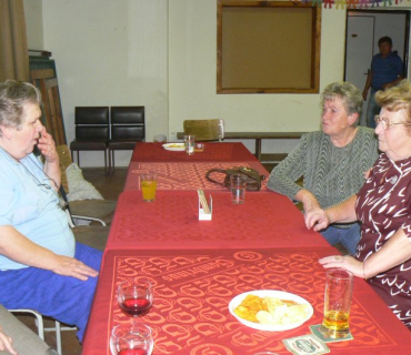 Senioři 2010
