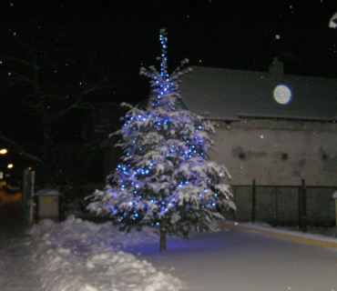 Zima 2010