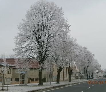 Zima