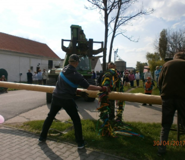 Stavění máje