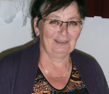 Den seniorů 2017