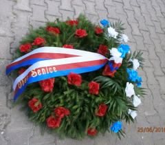 vyhledáno: Silver A